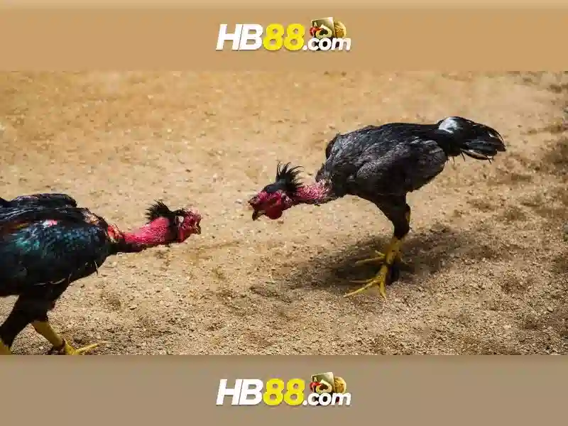 Giao diện nhà cái hoàn hảo