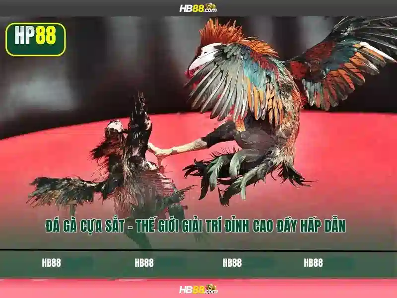 Giao diện nhà cái hoàn hảo