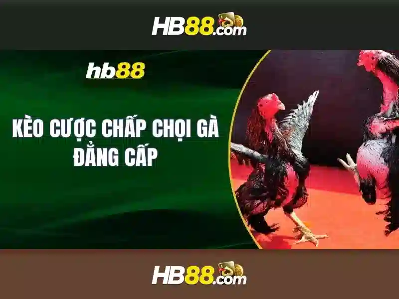 Các sản phẩm và trò chơi