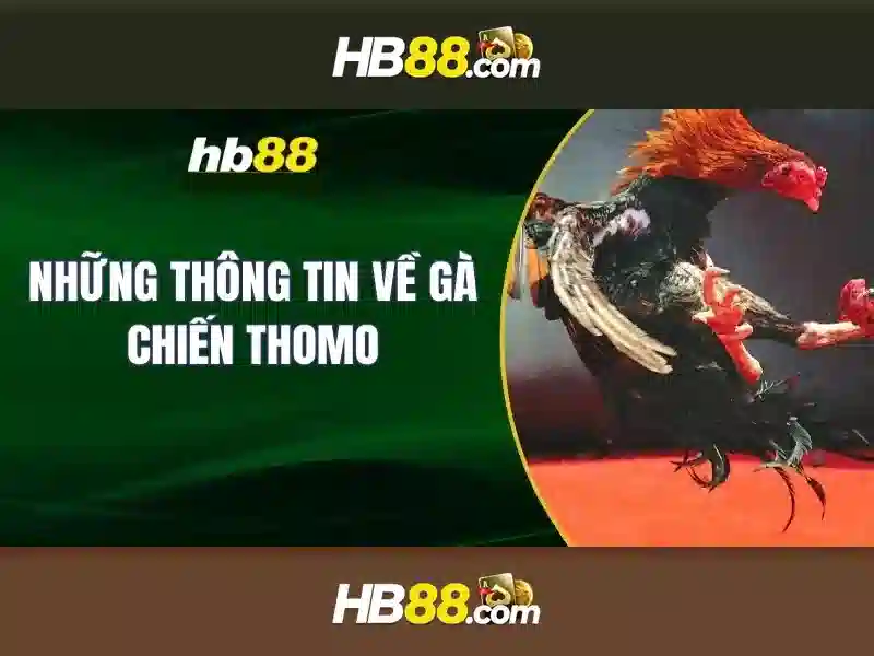 An toàn và bảo mật cho người chơi