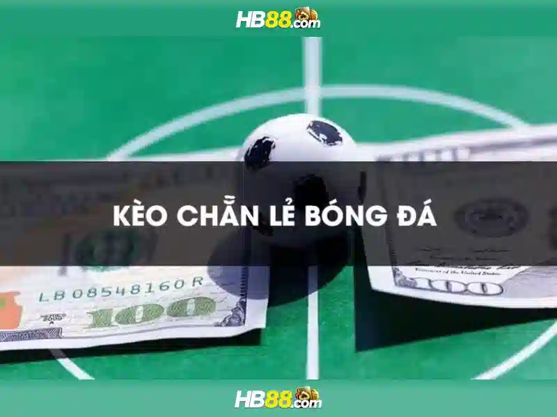 Khuyến mãi và chương trình thành viên