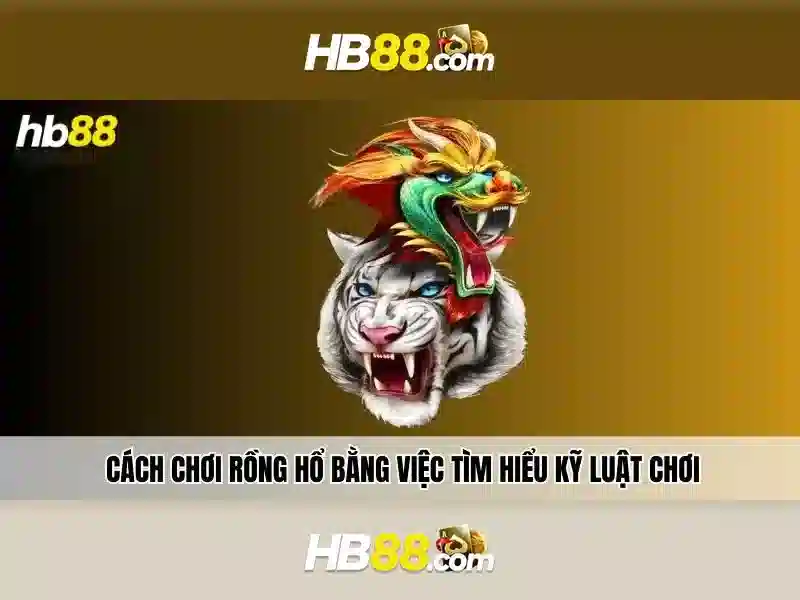 Hb88: Nền tảng giải trí và trò chơi trực tuyến Giao diện nhà cái hoàn hảo