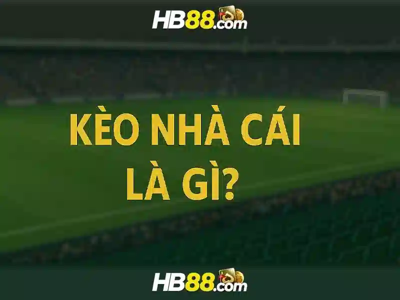 HB88 là gì?