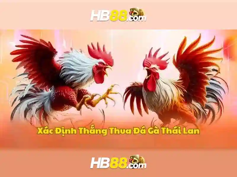 Giao diện nhà cái hoàn hảo