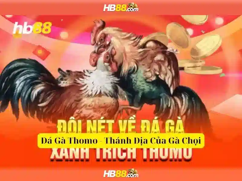 Tổng quan hb88 châu á