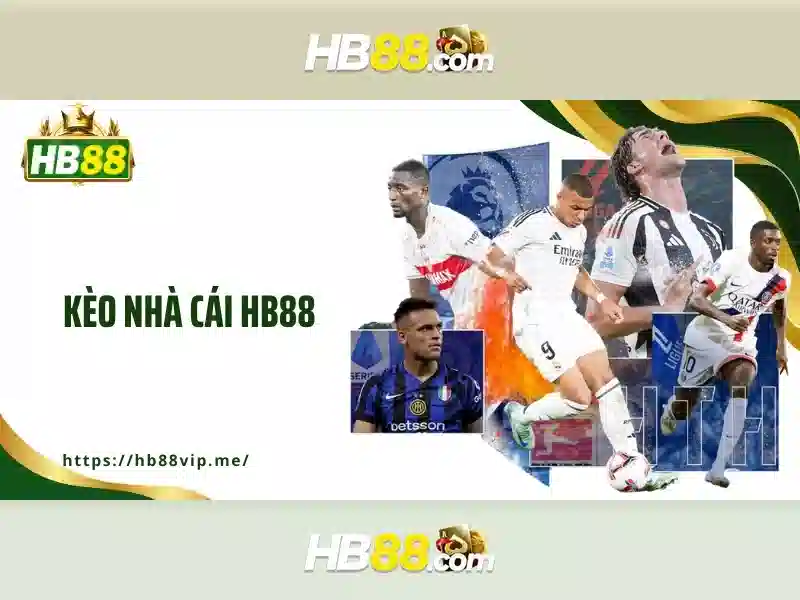 Trải nghiệm người dùng và phản hồi của cộng đồng