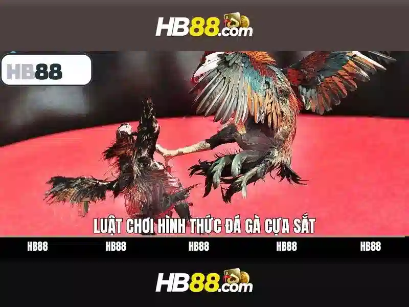 HB88 - Nền tảng cược trực tuyến phổ biến tại khu vực châu Á