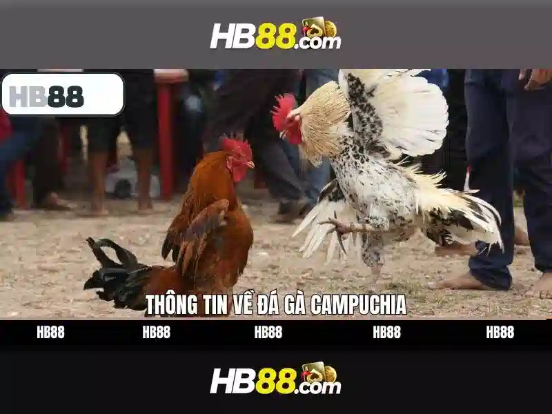 instagram hỗ trợ hb88 – giải pháp tối ưu cho cộng đồng hb88 Giao diện nhà cái hoàn hảo