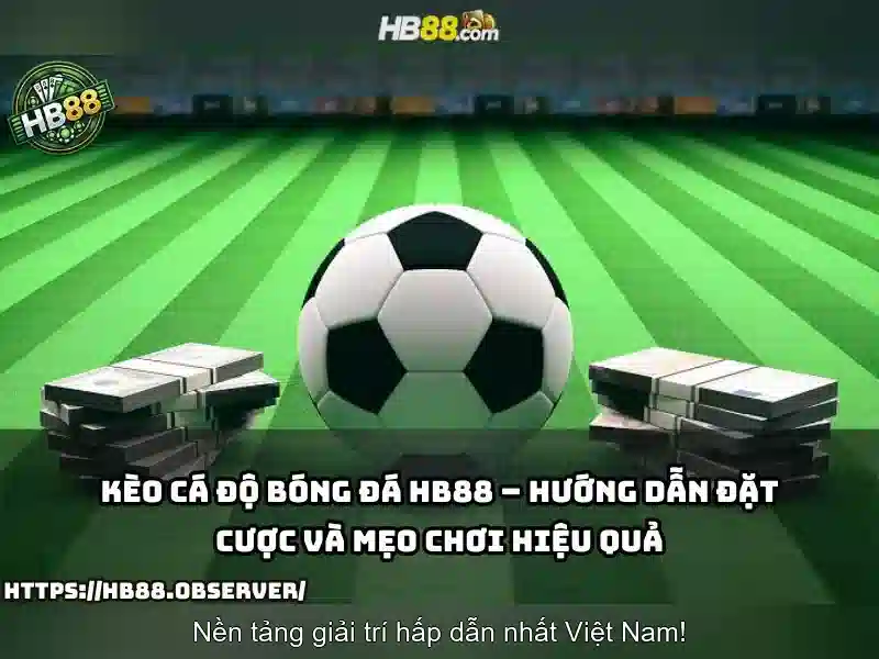 Lịch sử và nguồn gốc của HB88