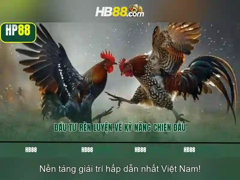 hb88: Nền tảng cá cược trực tuyến phổ biến ở châu Á Giao diện nhà cái hoàn hảo