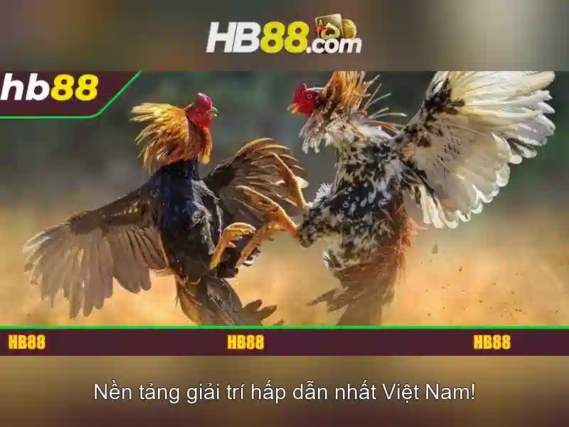 Giao diện nhà cái hoàn hảo