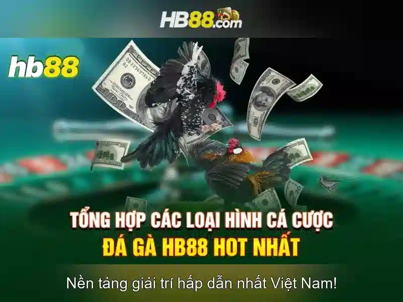 Giao diện nhà cái hoàn hảo