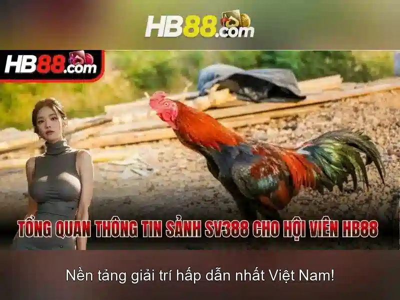 Giao diện nhà cái hoàn hảo