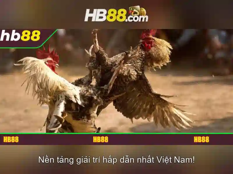 Giao diện nhà cái hoàn hảo