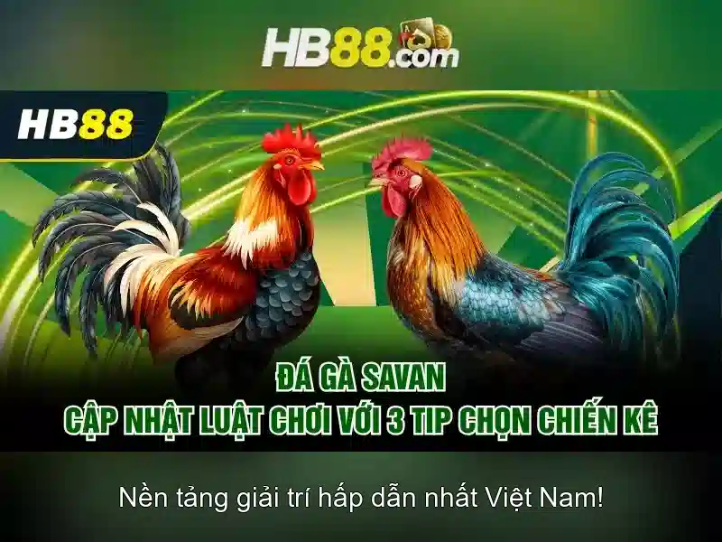 Giao diện nhà cái hoàn hảo